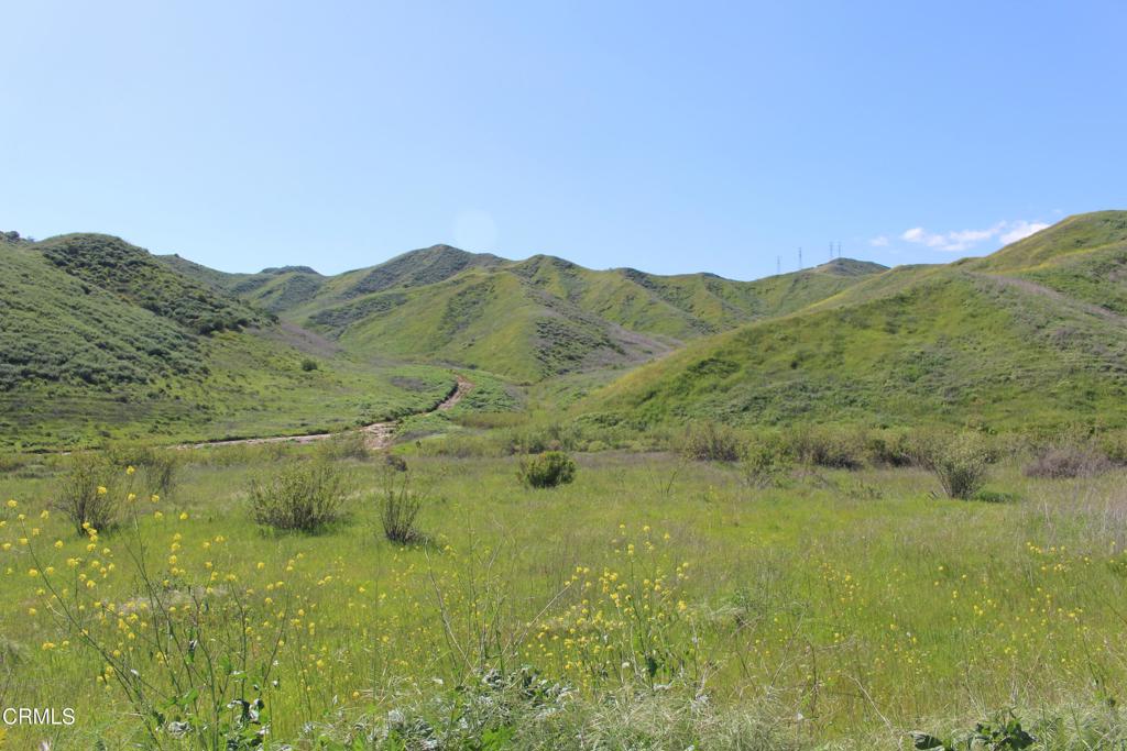 0 Dickenson Road Santa Paula, CA 93060 - Photo 18 of 44 IMG_6114