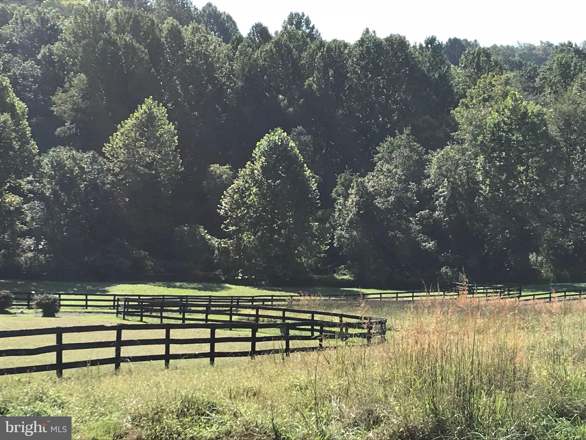 15325 Old Barn Road Rixeyville, VA 22737 - Photo 16 of 58 black board fencing in 3 pastures