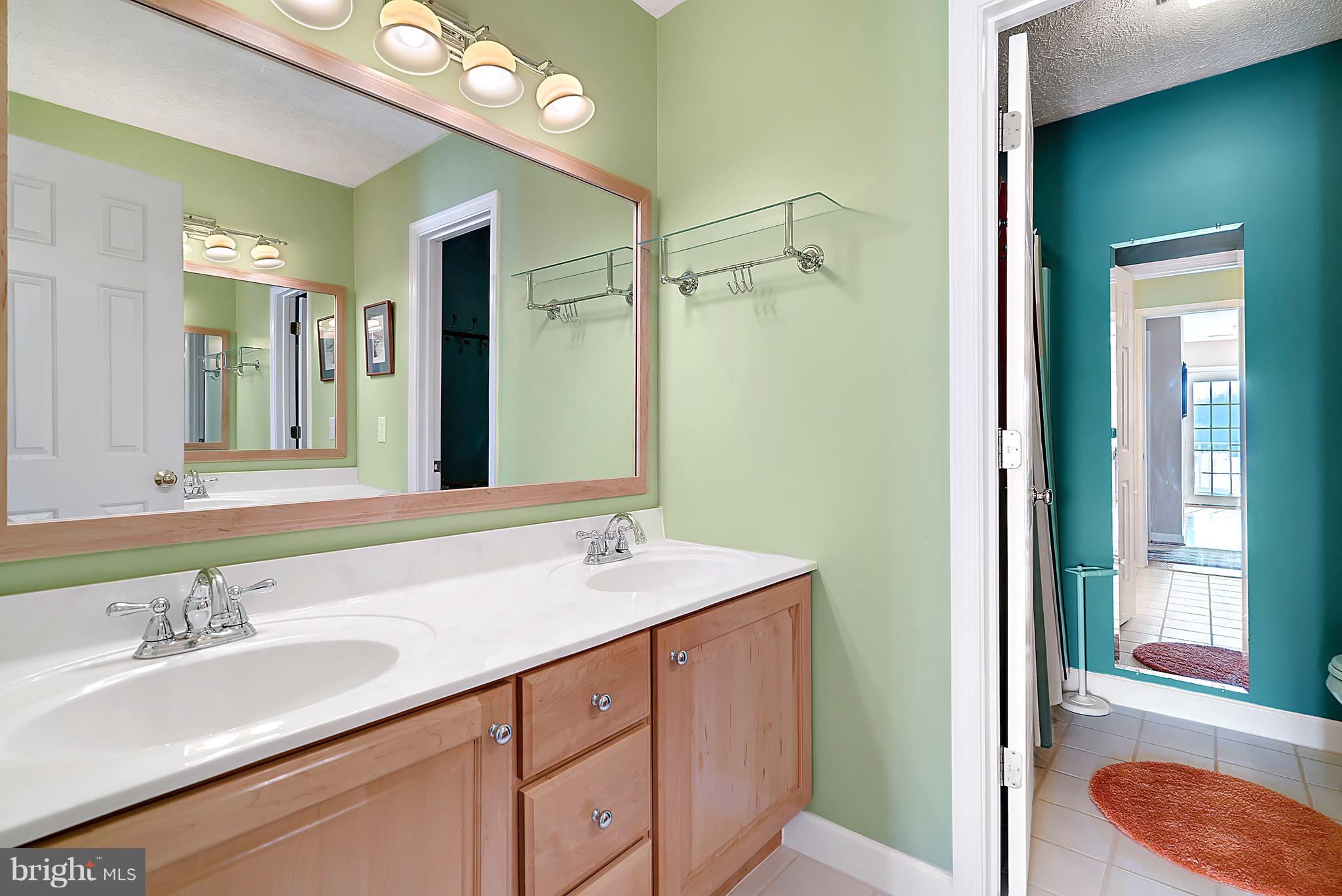 15325 Old Barn Road Rixeyville, VA 22737 - Photo 41 of 58 Upstairs Double Sinks part of bath