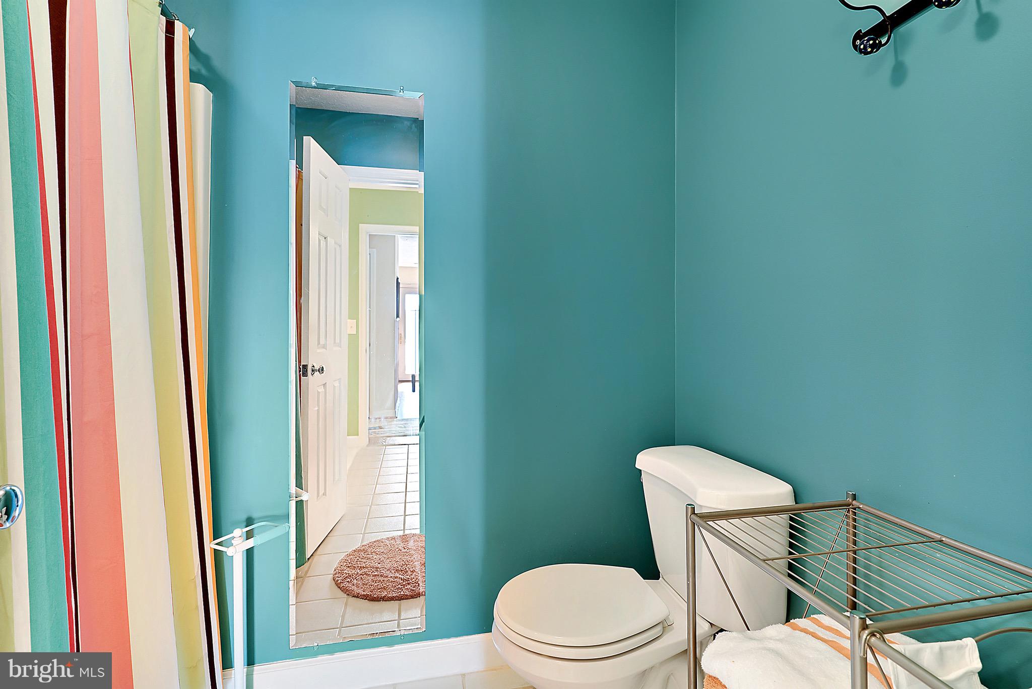 15325 Old Barn Road Rixeyville, VA 22737 - Photo 42 of 58 Upstairs Tub/Shower & Toilet portion of bath