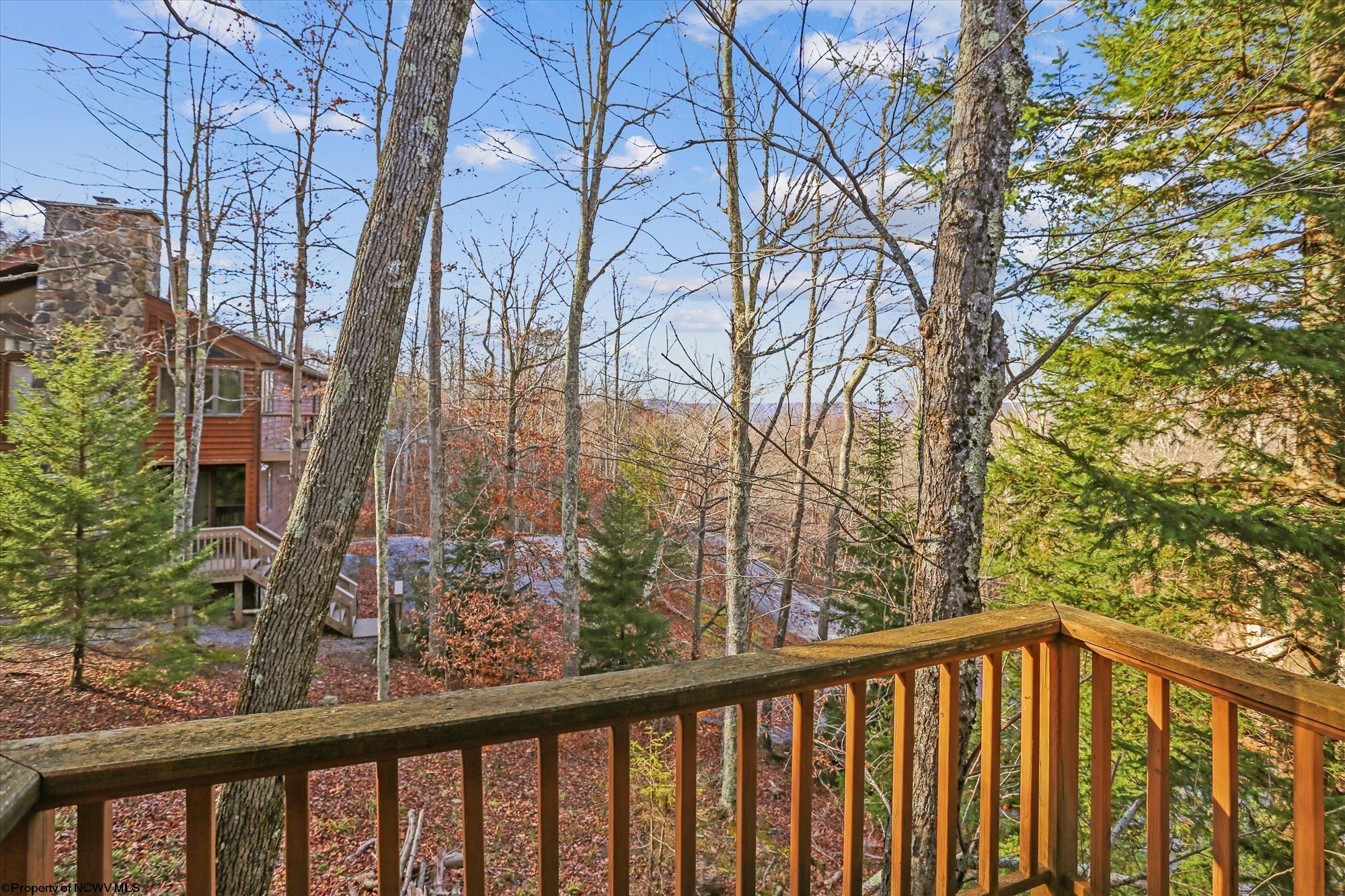 414 Brookside Road Davis, WV 26260 - Photo 25 of 26 Gallery Image 25