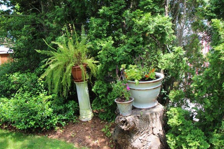 137 Jefferson Road Bourne, MA 02532 - Photo 7 of 28 a view of a backyard with garden and plants