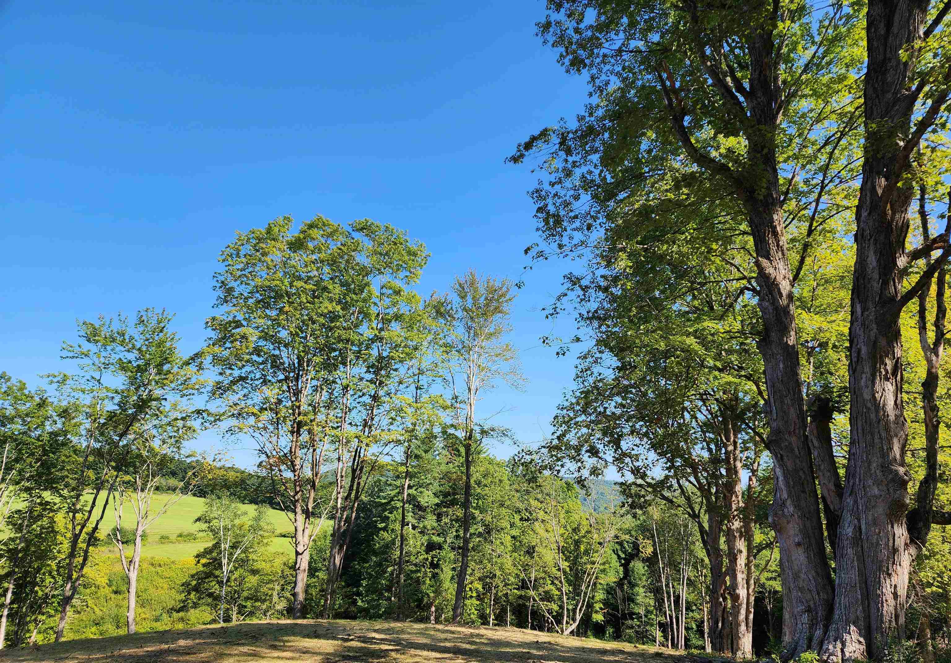 67 Hurricane Road Westmoreland, NH 03467 - Photo 3 of 20