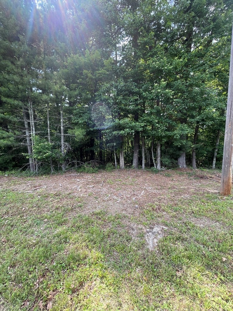 0 Ellison Ridge Road Nimitz, WV 25978 - Photo 12 of 13 Gallery Image 12