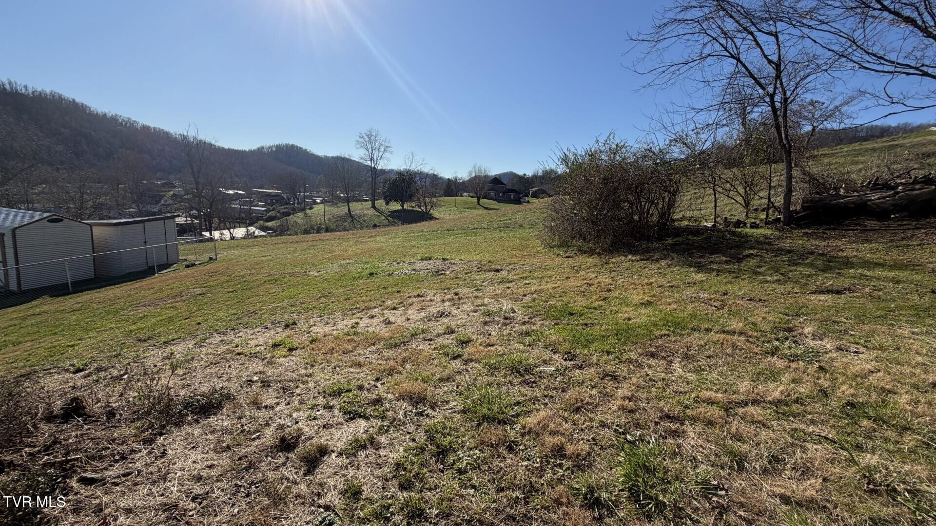 299 Duff Street Pennington Gap, VA 24277 - Photo 11 of 33 Yard 2