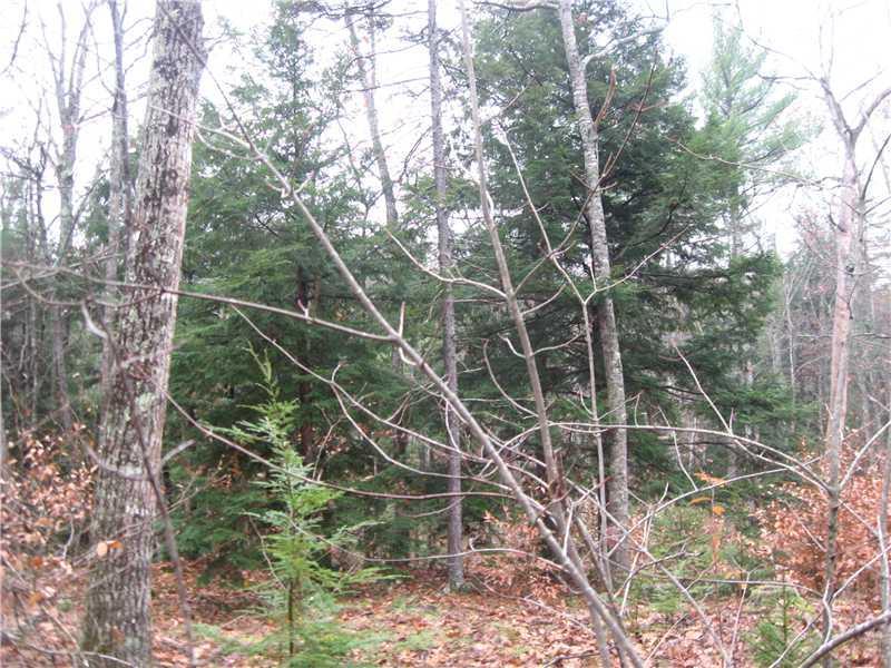 84-02 Old County Road Edgecomb, ME 04556 - Photo 5 of 5 Land/Lot.
