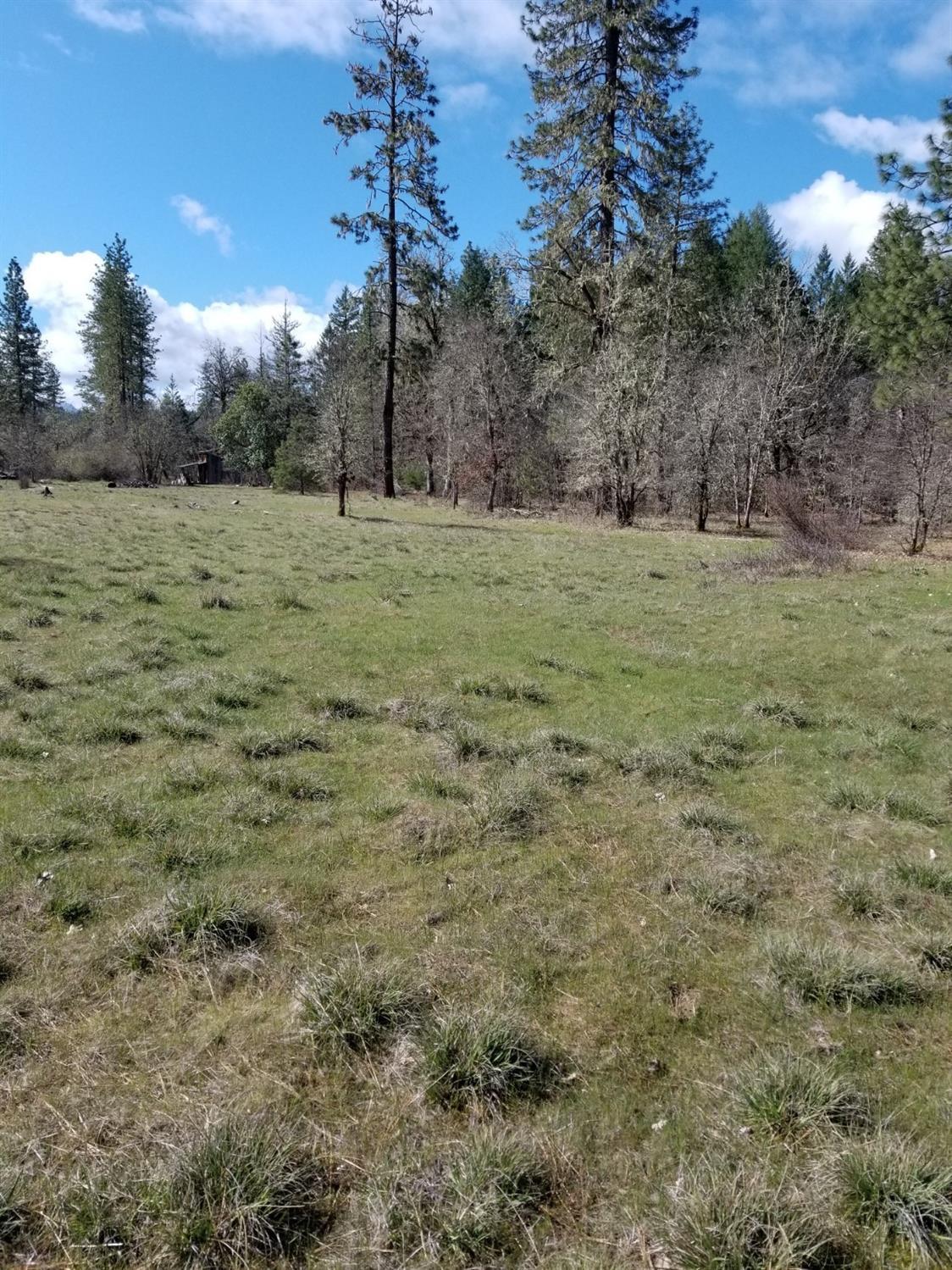 0 Dick George Road Cave Junction, OR 97523 - Photo 10 of 14 Additional Photo