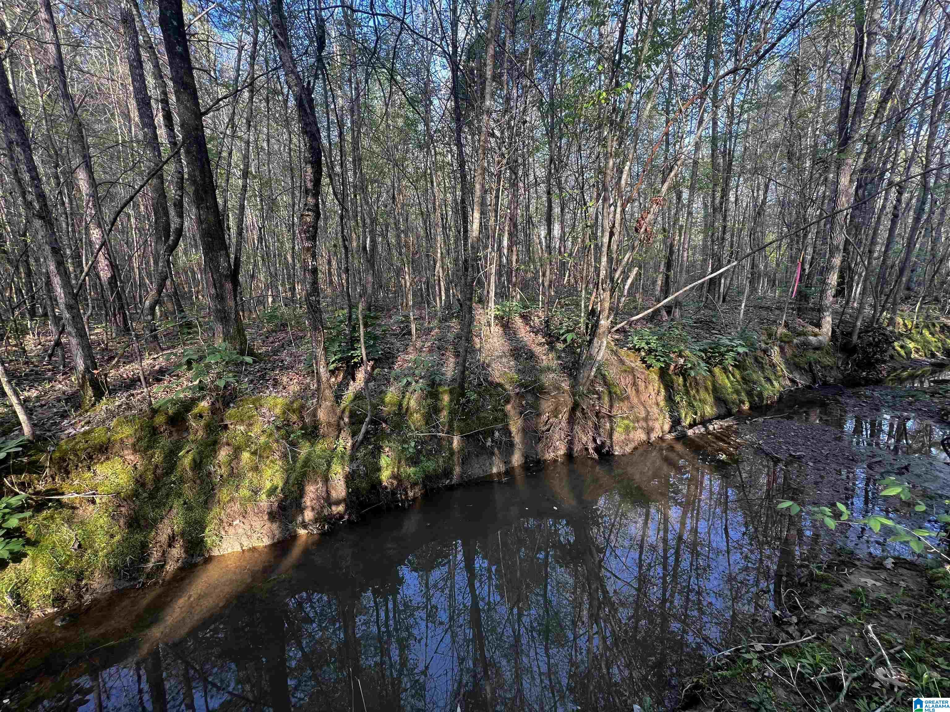 0 Francis Mill Road, Unit TRACT #1 Ohatchee, AL 36271 - Photo 3 of 4