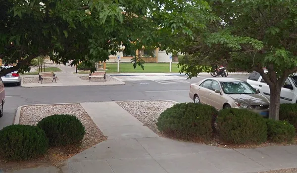 a view of a park with plants