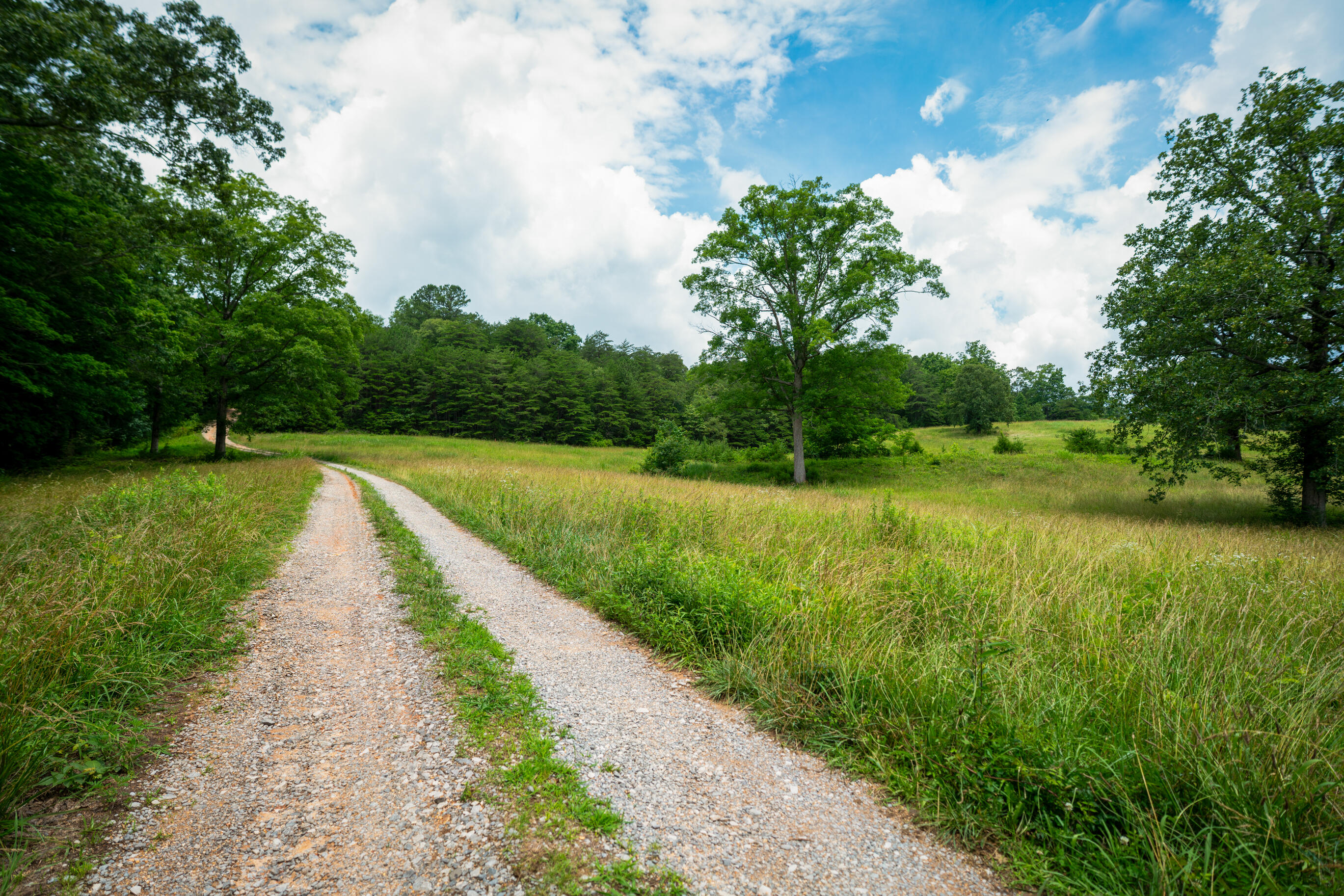 2444 Cloverdale Road Rising Fawn, GA 30738 - Photo 47 of 60 _DSC1895-Edit