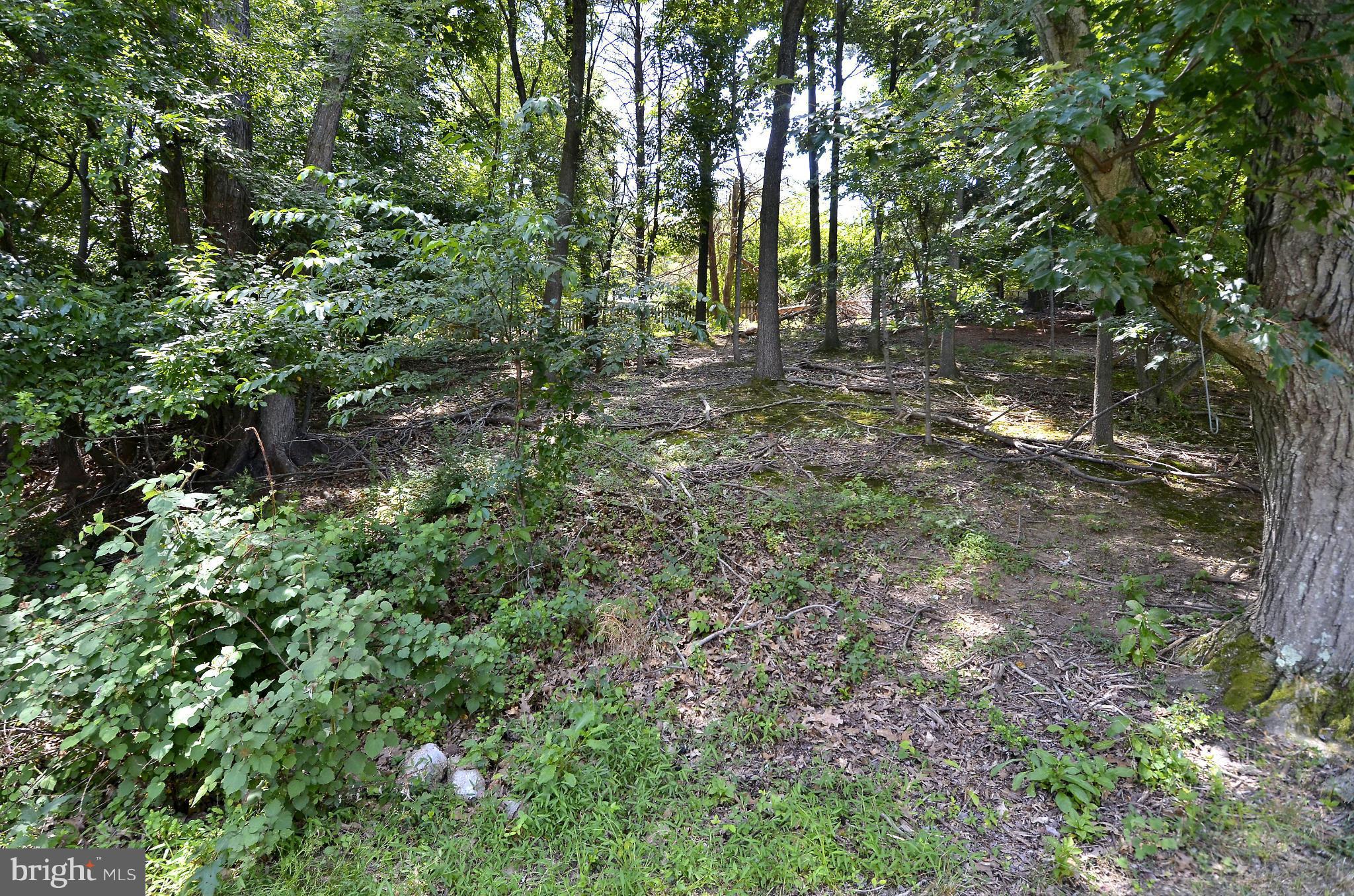 628 Kenbrook Drive Silver Spring, MD 20902 - Photo 29 of 30 View from Back