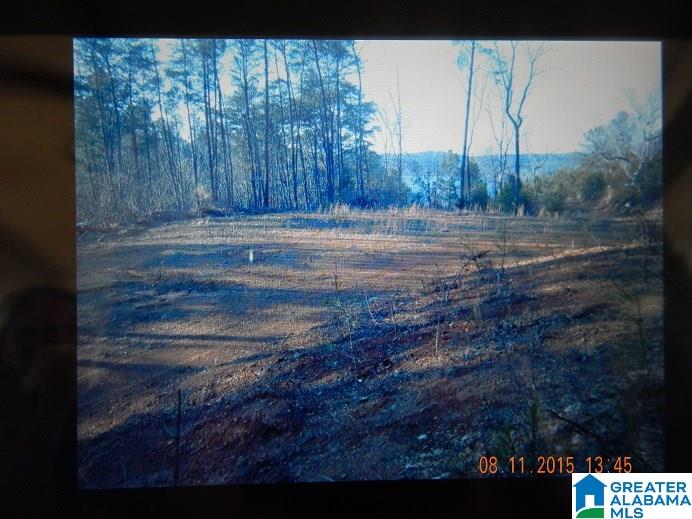 205 Gwin Loop Road Adger, AL 35006 - Photo 22 of 22 Gallery Image 22