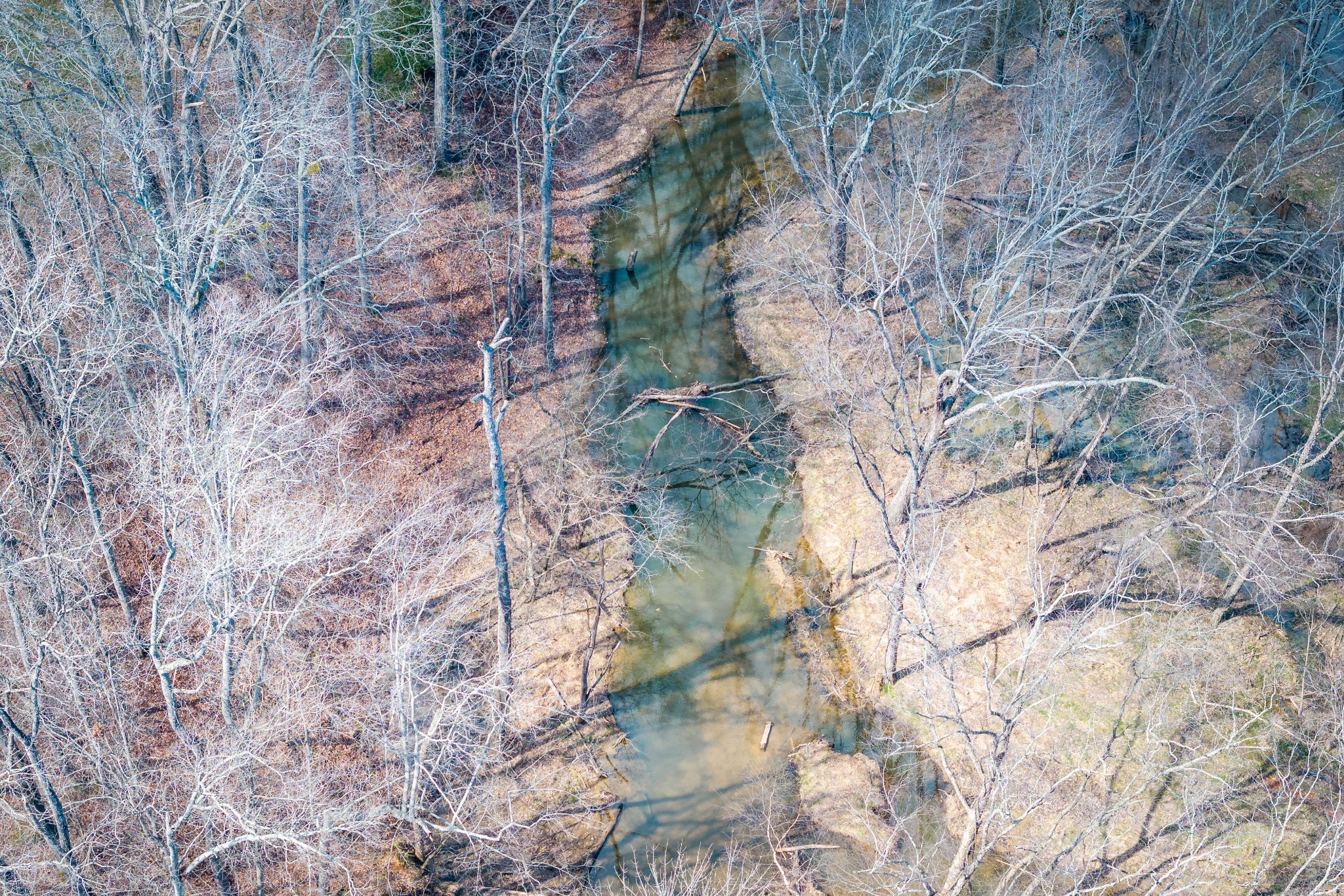 5940 Saltillo Road Saltillo, TN 38370 - Photo 9 of 45 Gallery Image 9
