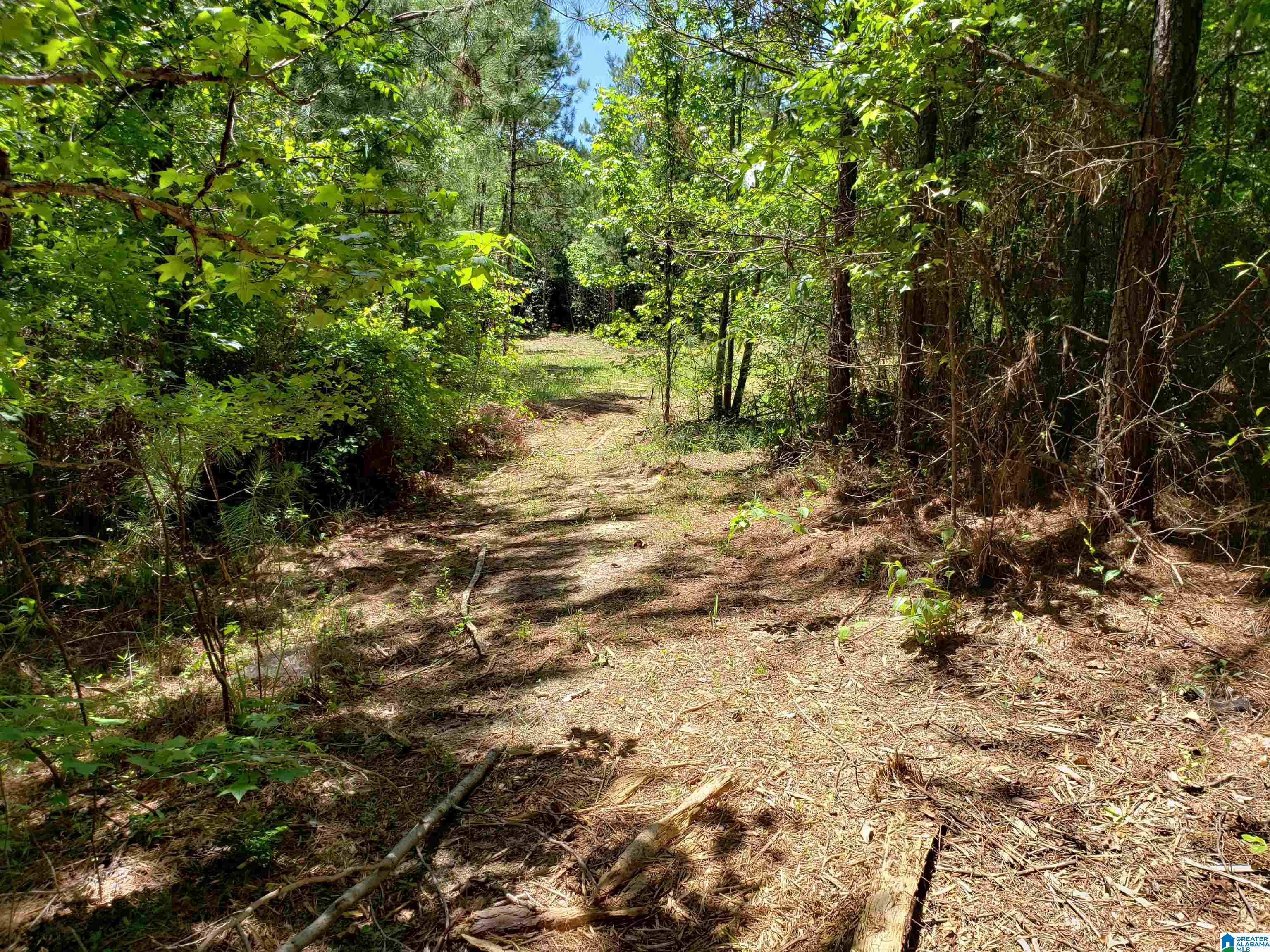 0 Clements Road, Unit 1 Cottondale, AL 35453 - Photo 9 of 16