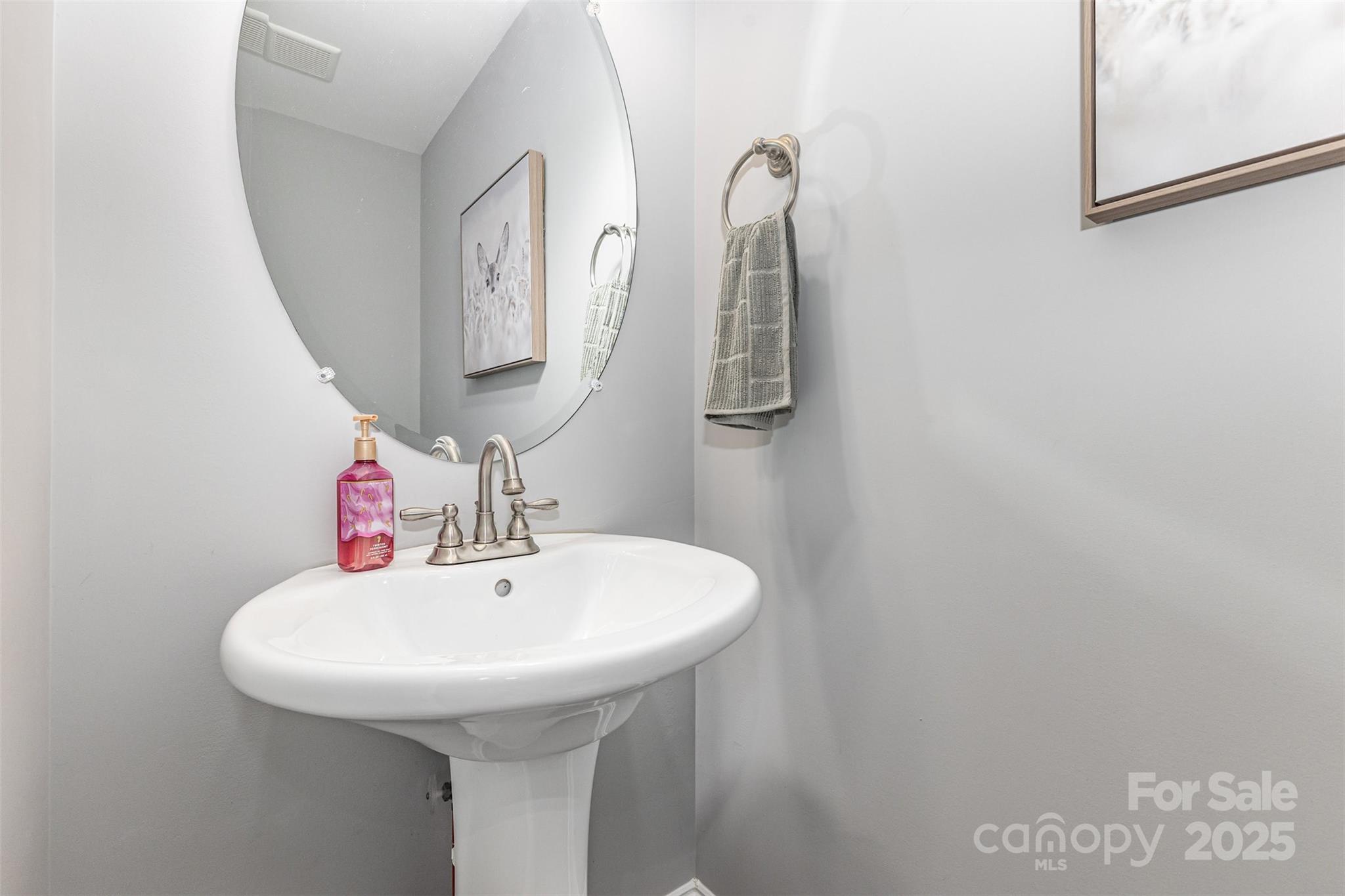 1785 Shamrock Avenue Lancaster, SC 29720 - Photo 14 of 30 a bathroom with a sink and a mirror