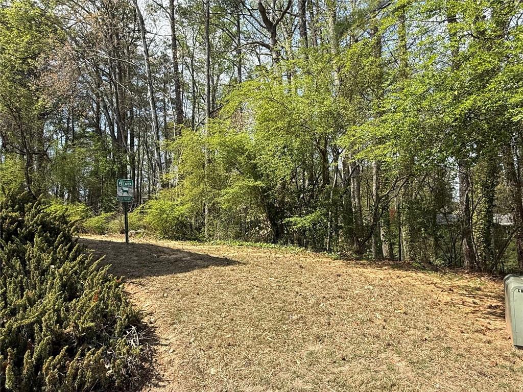 2926 Webb Bridge Road Alpharetta, GA 30009 - Photo 30 of 31