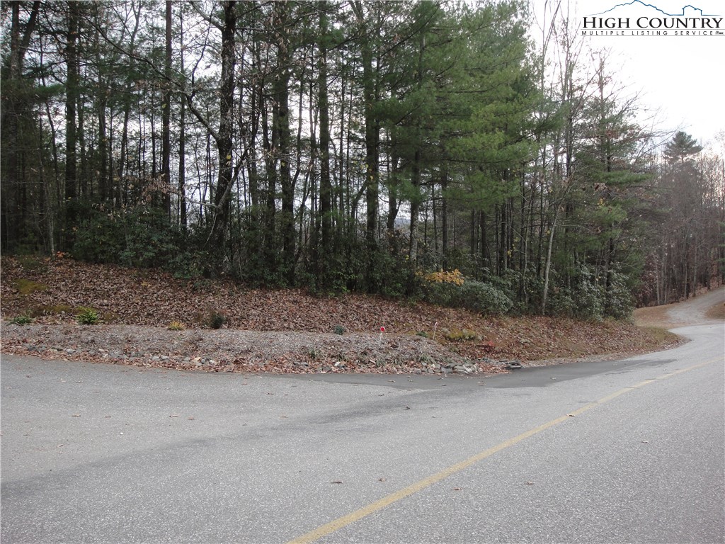 Lot 20 Buck Mountain Road Purlear, NC 28665 - Photo 4 of 21 a view of a yard with trees
