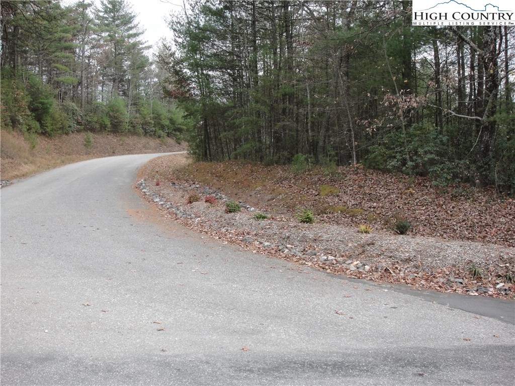 Lot 20 Buck Mountain Road Purlear, NC 28665 - Photo 7 of 21 a view of a yard with a tree