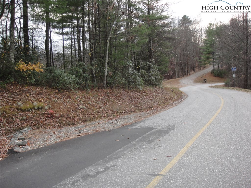 Lot 20 Buck Mountain Road Purlear, NC 28665 - Photo 8 of 21 a view of a yard with tiny trees