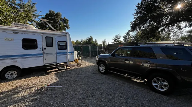 a view of a backyard with plants