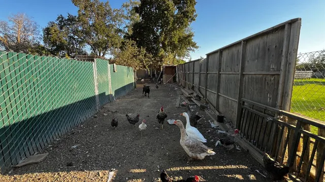 a backyard of a house with lots of green space