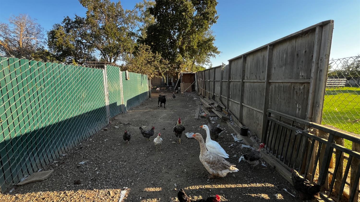 1738 U Street Rio Linda, CA 95673 - Photo 42 of 50 a view of a backyard with plants