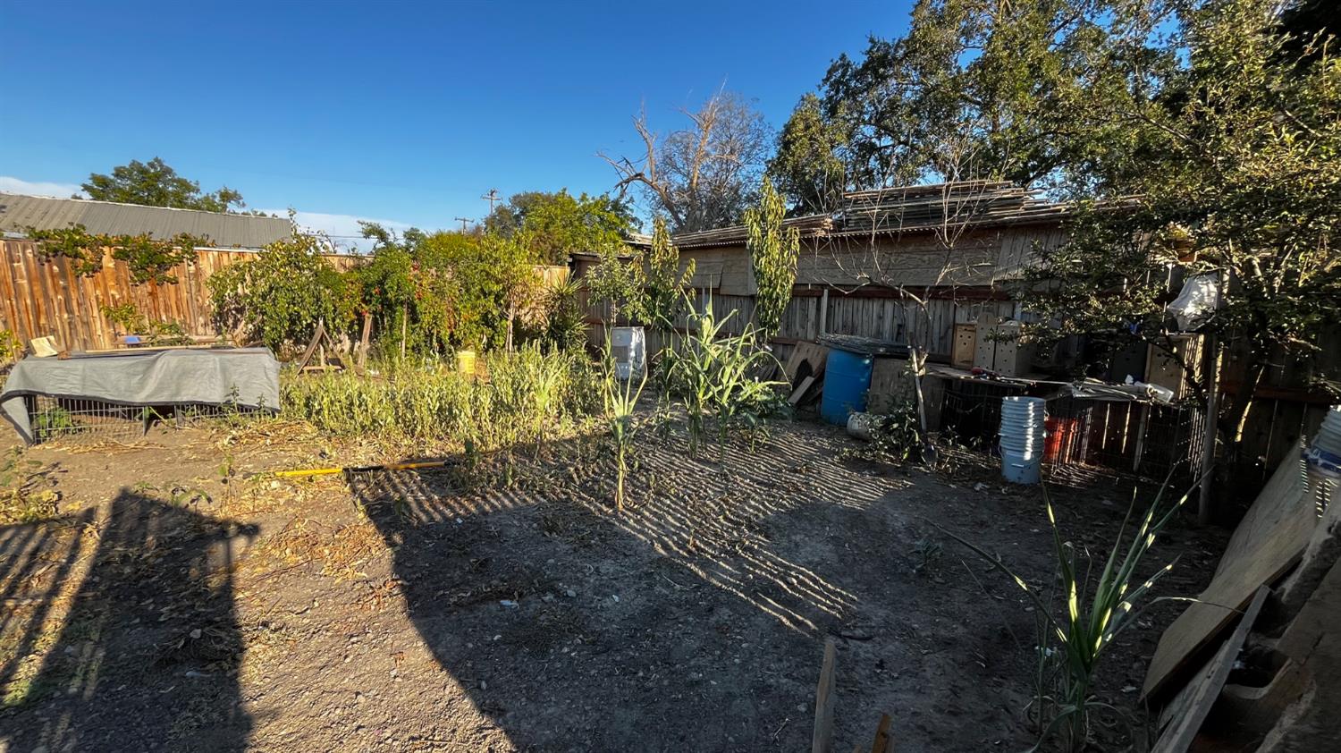 1738 U Street Rio Linda, CA 95673 - Photo 43 of 50 a backyard of a house with lots of green space
