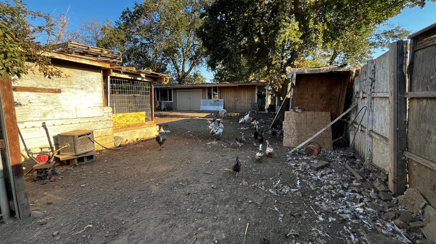1738 U Street Rio Linda, CA 95673 - Photo 46 of 50 a view of a house with backyard space and sitting area
