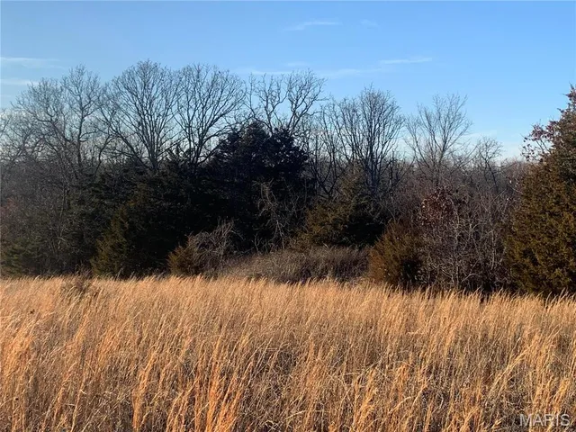 $55,000 | 22892 Highway C Rolla Mo 65401, Edgar Springs, MO 65462