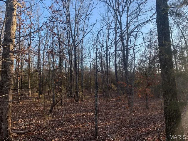 $55,000 | 22892 Highway C Rolla Mo 65401, Edgar Springs, MO 65462