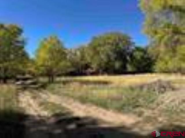 1-2 Price Road Paonia, CO 81428 - Photo 6 of 8