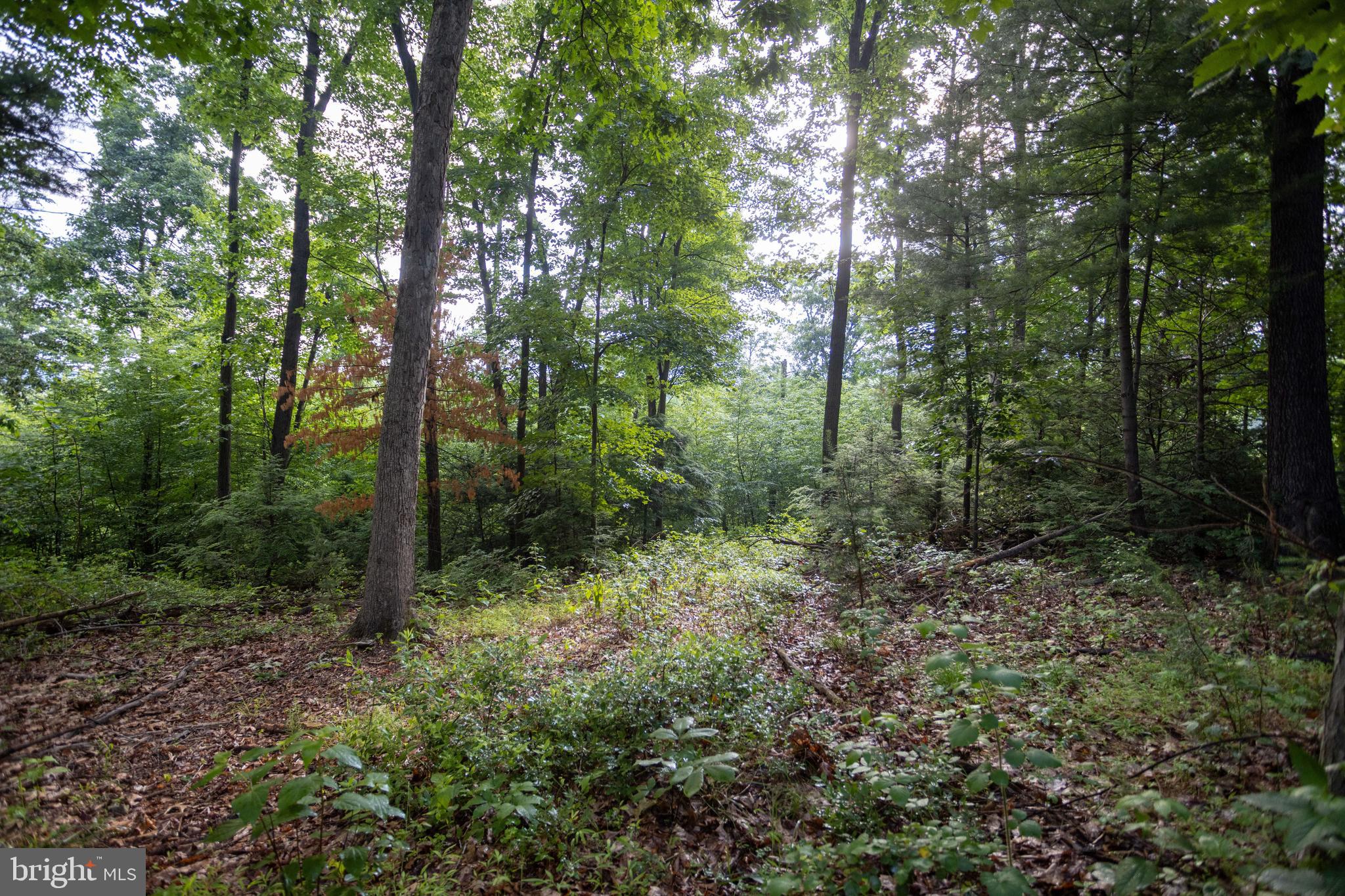 3125 Buckwheat Road Millerstown, PA 17062 - Photo 24 of 38