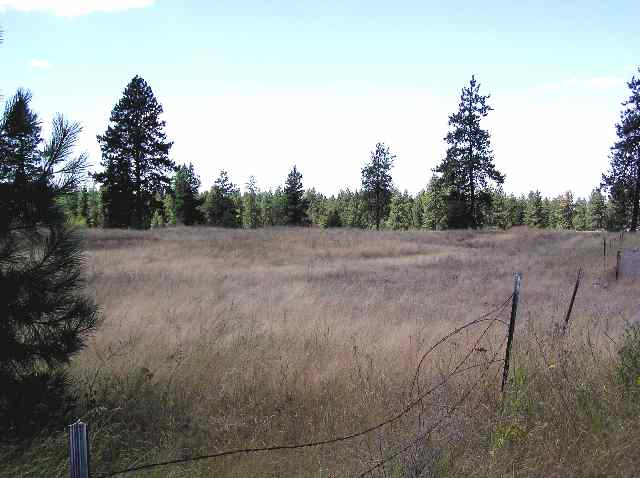 0 South Dover Road Cheney, WA 99004 - Photo 1 of 3