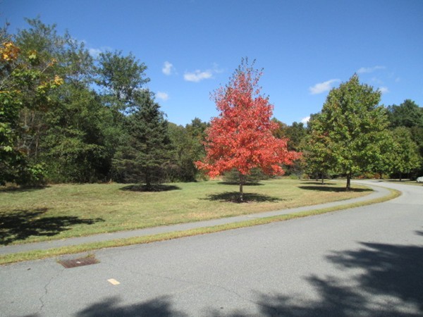 0 Cameron Way Rehoboth, MA 02769 - Photo 1 of 20 Gallery Image 1