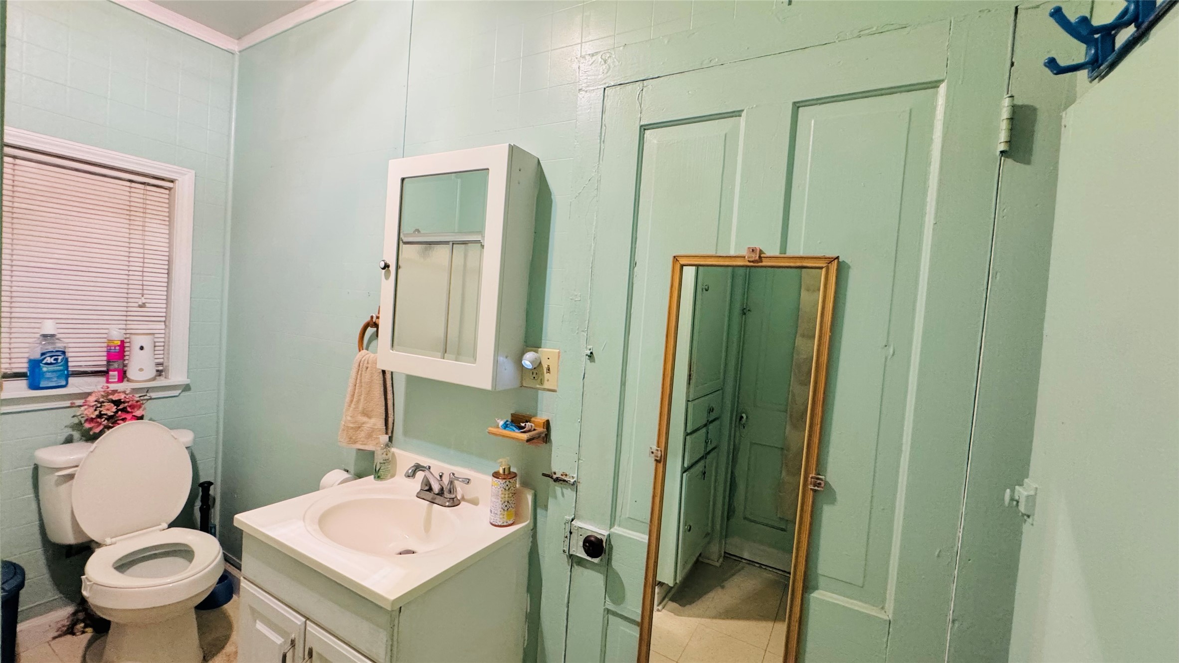 1604 Pine Street Georgetown, TX 78626 - Photo 6 of 13 a bathroom with a sink mirror and toilet