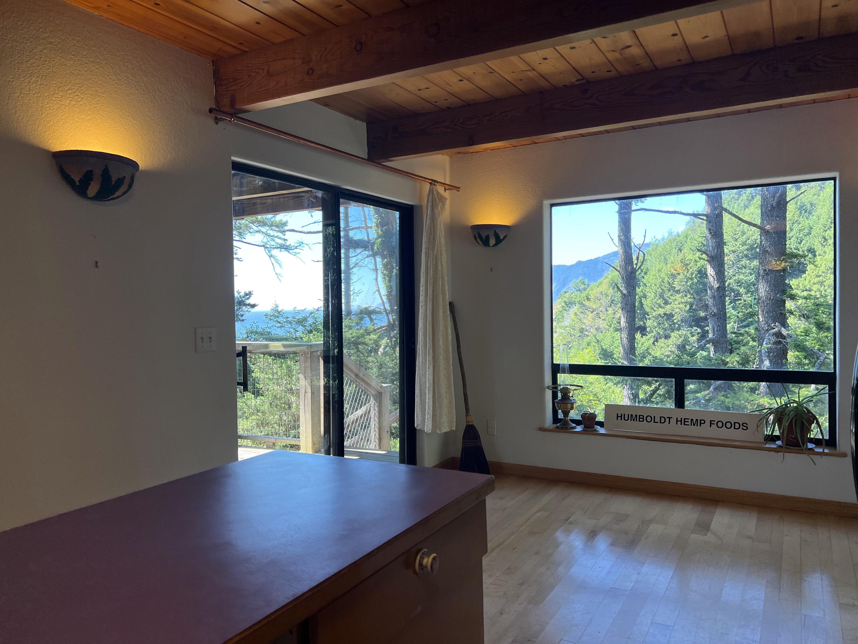 825 Beach Road Whitethorn, CA 95589 - Photo 19 of 53