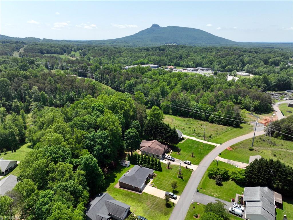 516 Lynchburg Road Pilot Mountain, NC 27041 - Photo 7 of 20