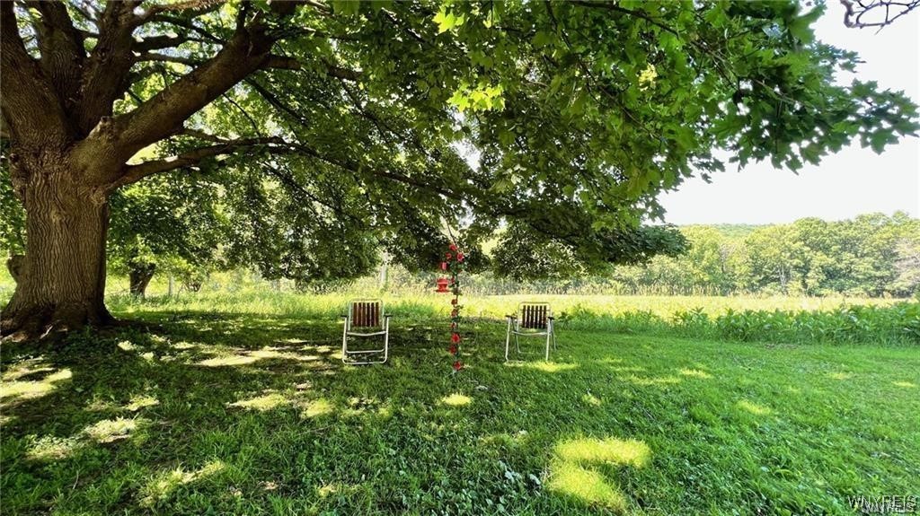 3319 Riverside Drive Scio, NY 14895 - Photo 7 of 37