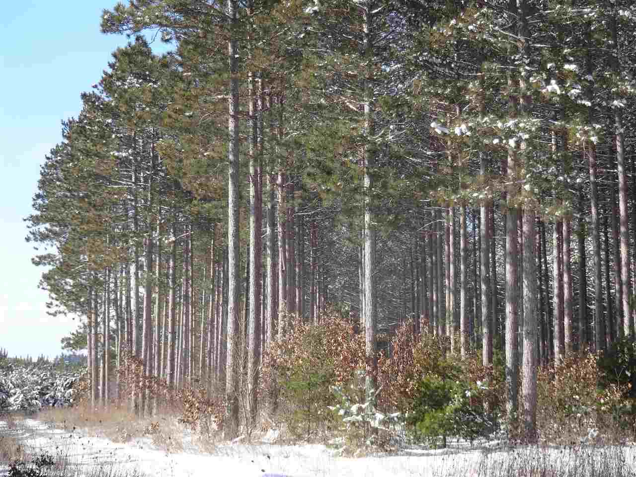 On County Rd FF Coloma, WI 54930 - Photo 1 of 1