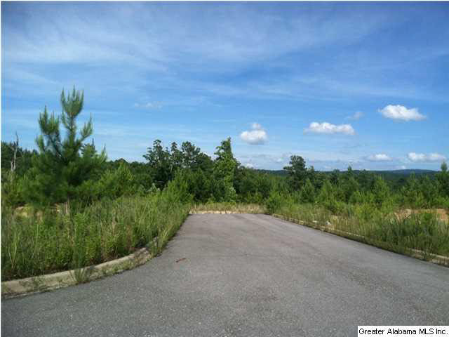 Old Acton Road, Unit 55 Moody, AL 35004 - Photo 4 of 9