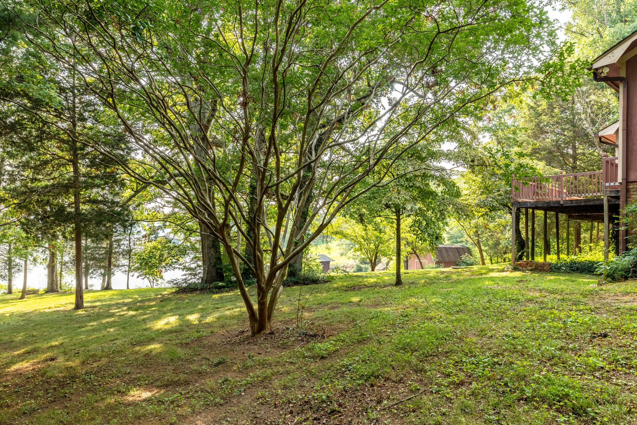 703 Rio Drive Friendsville, TN 37737 - Photo 30 of 36 Gallery Image 30