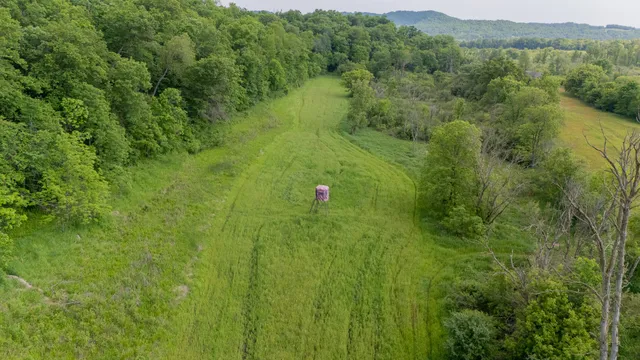 $750,000 | 0 County Road G, Dodge, WI 54625