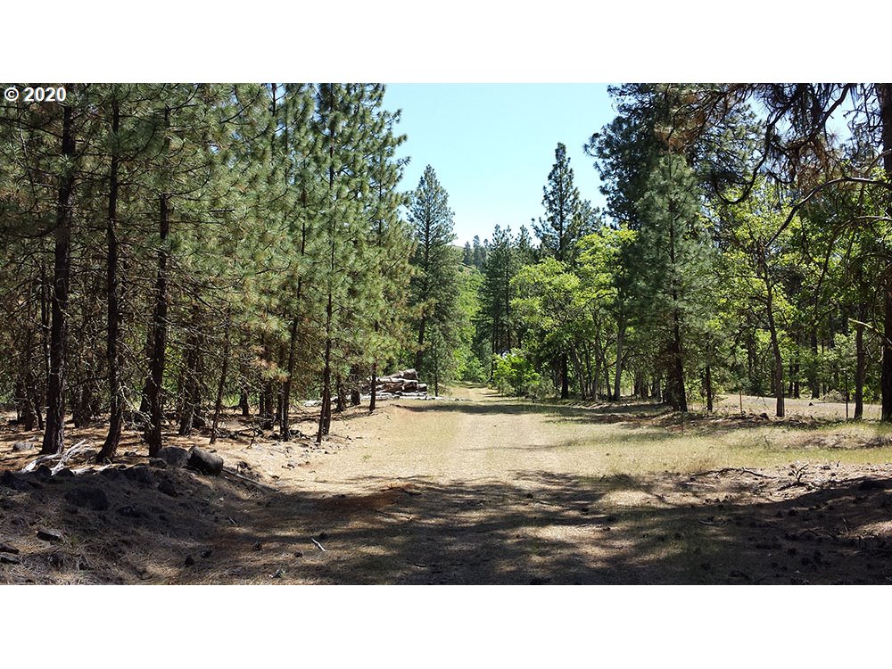 126 Bumpy Road Centerville, WA 98613 - Photo 13 of 15 Gallery Image 13