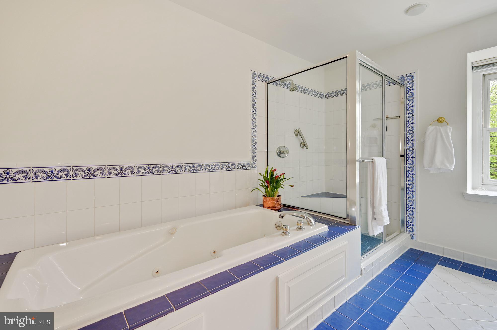 8802 Altimont Lane Chevy Chase, MD 20815 - Photo 29 of 52 Primary Bath