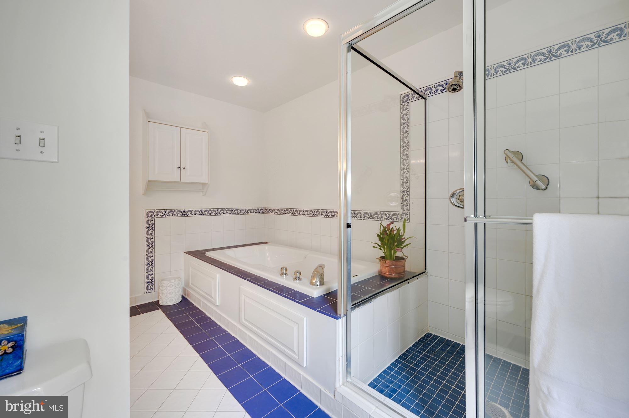 8802 Altimont Lane Chevy Chase, MD 20815 - Photo 30 of 52 Primary Bath