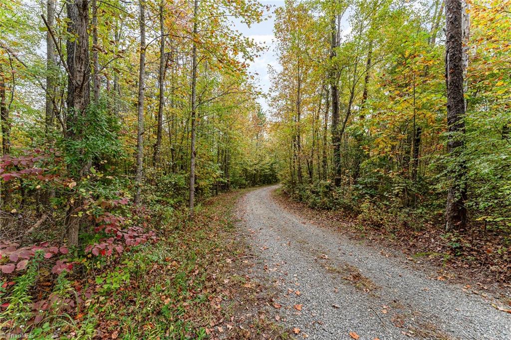 5644 Kerr's Chapel Road Elon, NC 27244 - Photo 39 of 43 Gallery Image 39