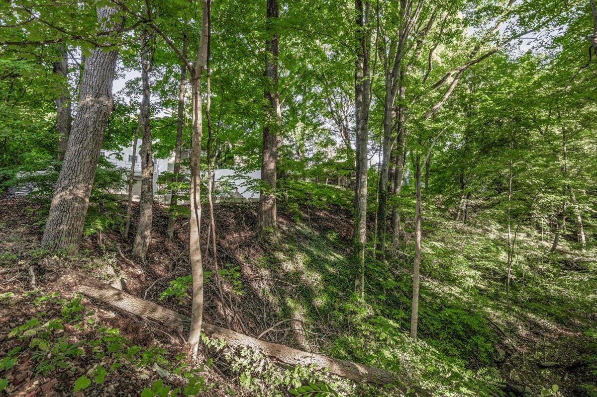 14847 Lakeshore Road Lakeside, MI 49116 - Photo 48 of 49 62-EK2A9774