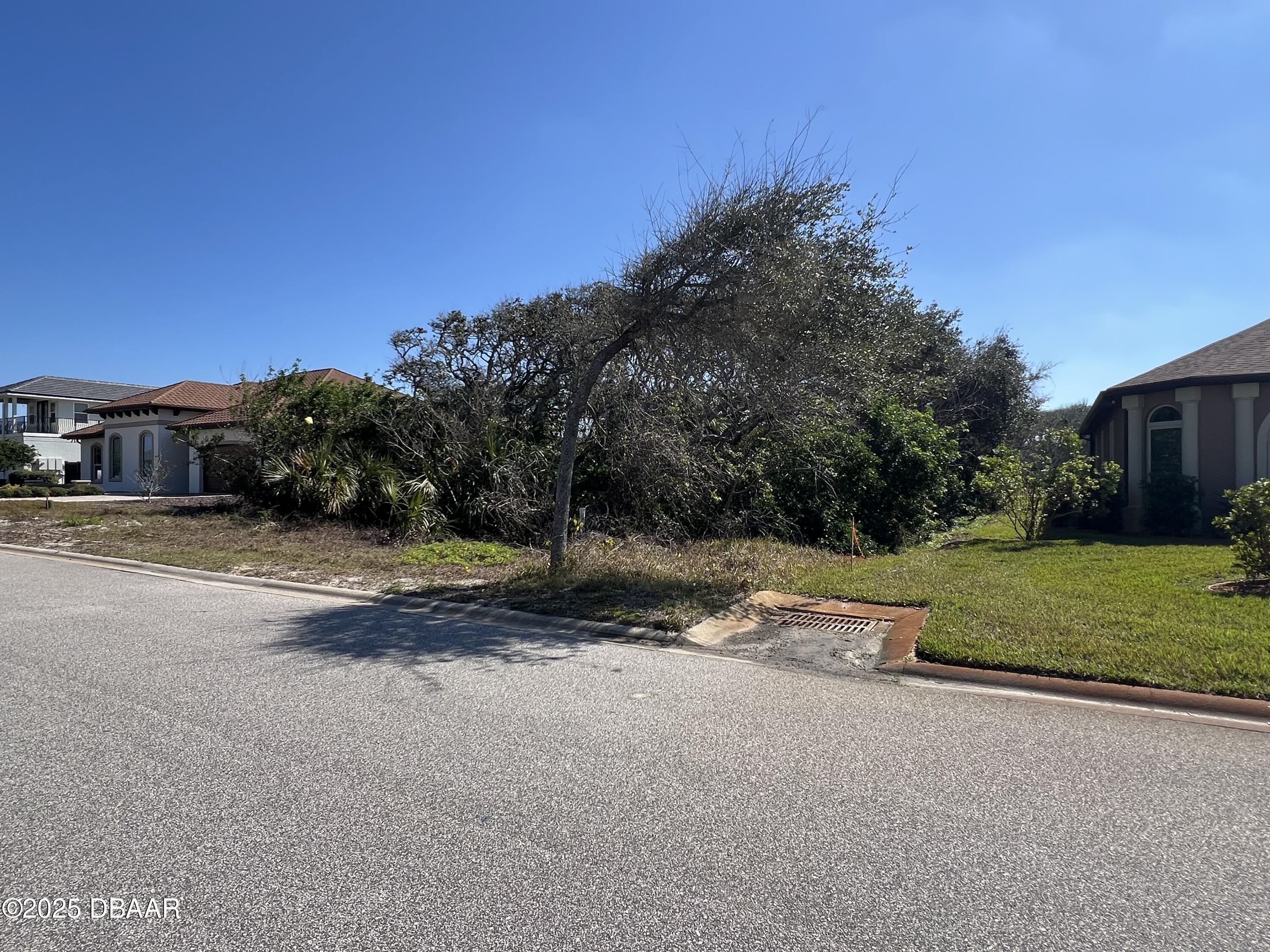 17 Mar Azul North Ponce Inlet, FL 32127 - Photo 13 of 14 a view of backyard with green space