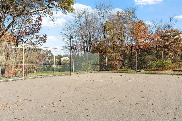 a view of empty space with trees