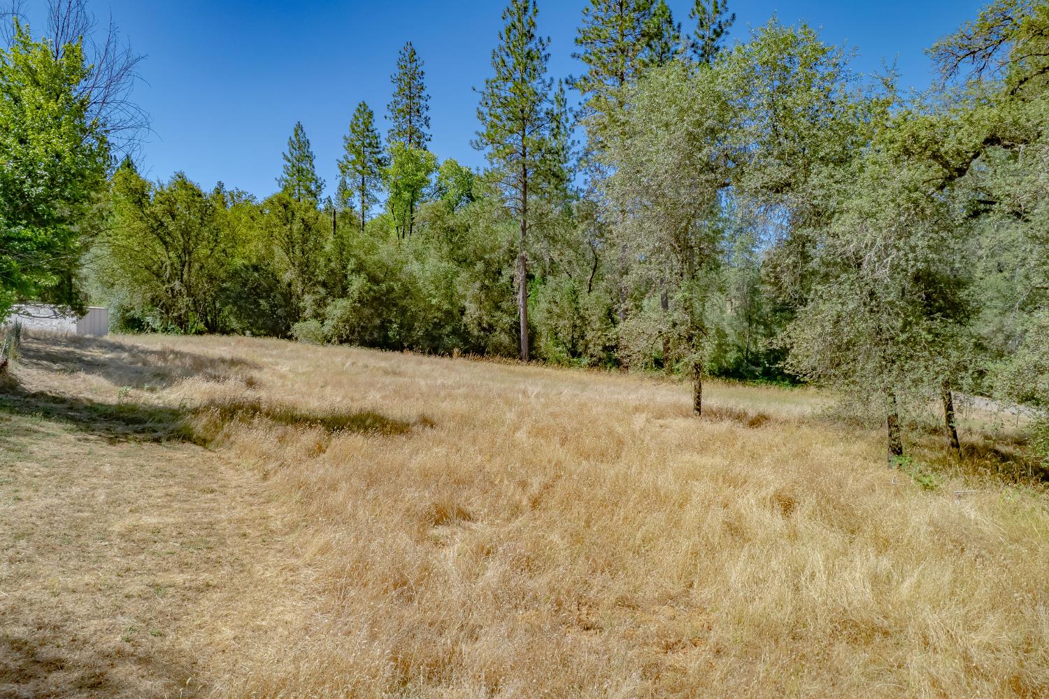 14163 Indiana School Road Dobbins, CA 95935 - Photo 16 of 17 Gallery Image 16